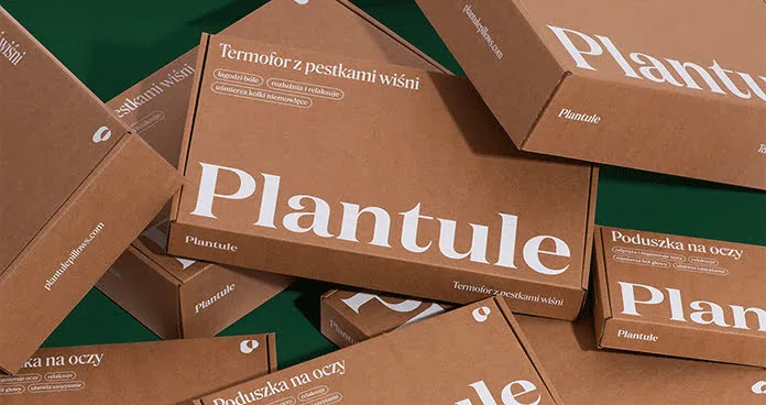 The Green Revolution: Embracing Biodegradable and Compostable Packaging