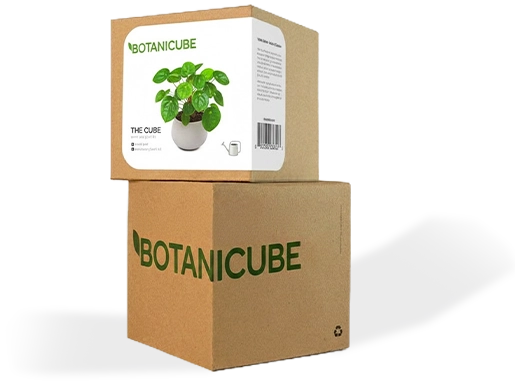 Printed Cardboard Boxes